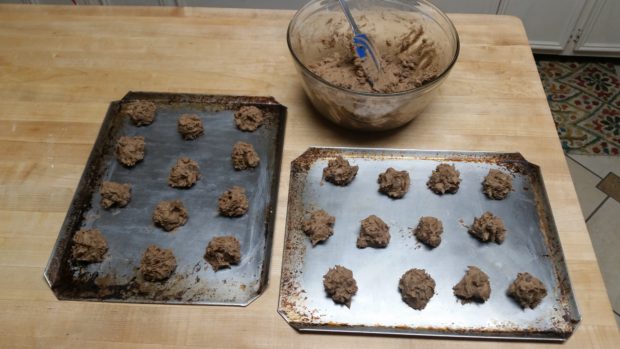 Chocolate Chocolate Chip Cookie Dough Balls